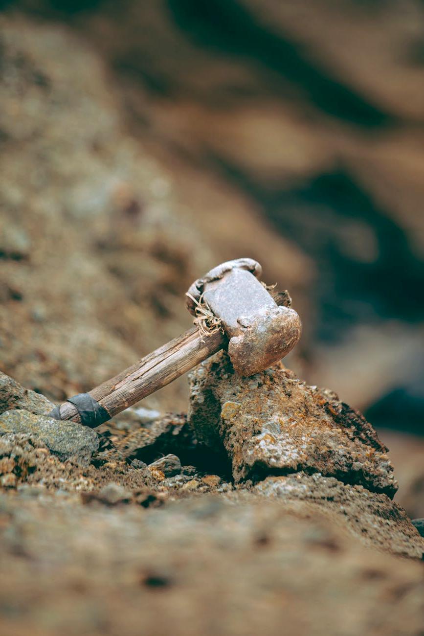 Rare Earth Minerals