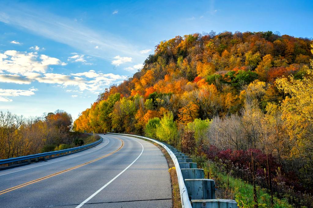 Timber and Forest Resources